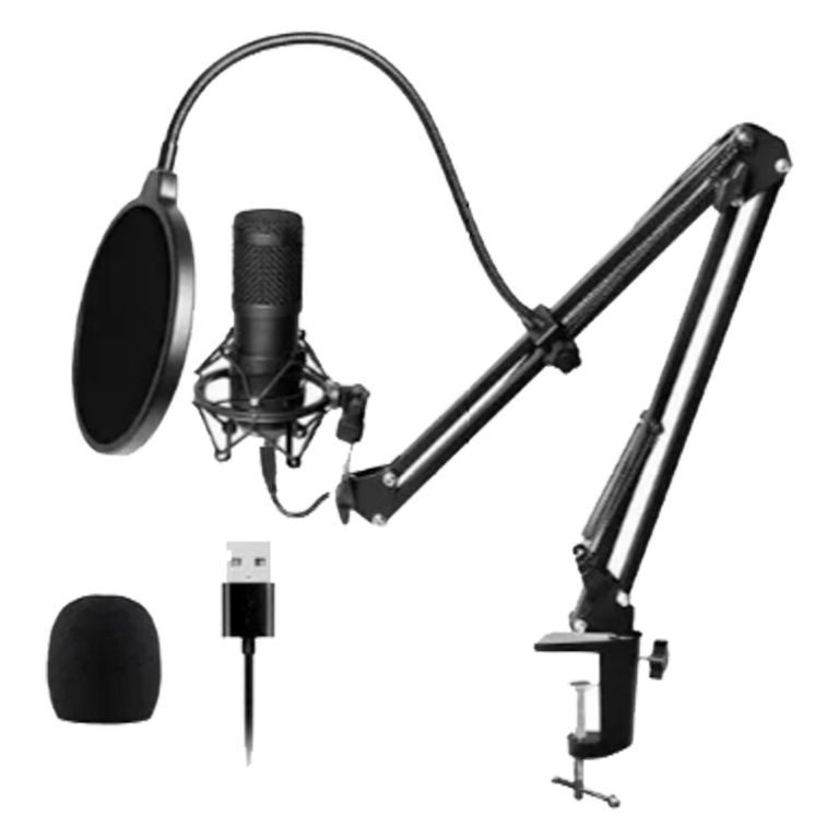 Kit Micrófono Condensador Profesional Con Soporte Y Antipop