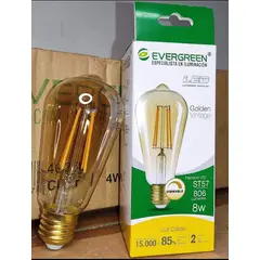 GENERICO - FOCO PERA VINTAGE ST57 8W LED DIMMABLE - EVER GREEN