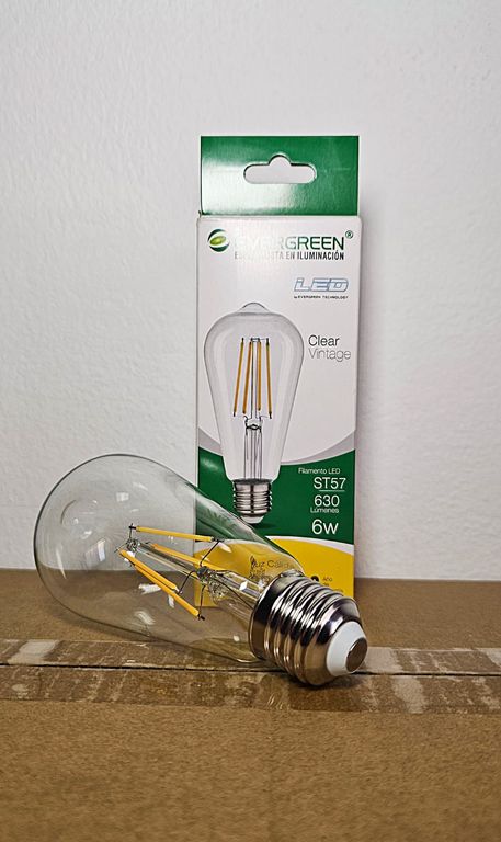 FOCO PERA VINTAGE ST57 6W LED - EVER GREEN