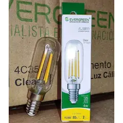 GENERICO - FOCO VINTAGE CLEAR T25 4W LED - EVER GREEN