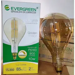 GENERICO - FOCO VINTAGE PS160 10W LED DIMMABLE - EVER GREEN
