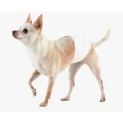 GENERICO - Pañales Desechables Para Perro Macho S