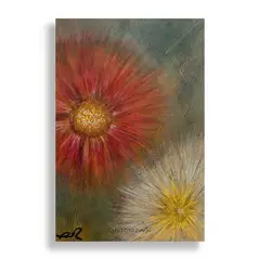 KUSTOMIT - Cuadro Decorativo Aluminio 20x30 - Toty