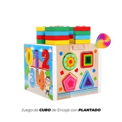 GENERICO - Juego de Cubo de Encaje con Plantado