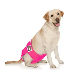 GENERICO - Pañal de Incontinencia Reutilizable Ecológico Para Hembra XL