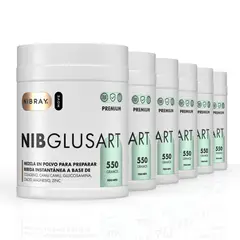 NIBRAY - Colageno Hidrolizado con Glucosamina Pack 6 Potes Nibglusart Premium