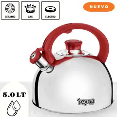 Reyna - Tetera deluxe 5l Acero Inoxidable