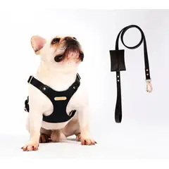 QUE PATAS PET SHOP - Arnés de Cuero con Correa Talla L Negro