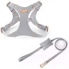 QUE PATAS PET SHOP - Arnés de Cuero con Correa Talla M Gris