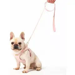 QUE PATAS PET SHOP - Arnés de Cuero con Correa Talla L Rosado