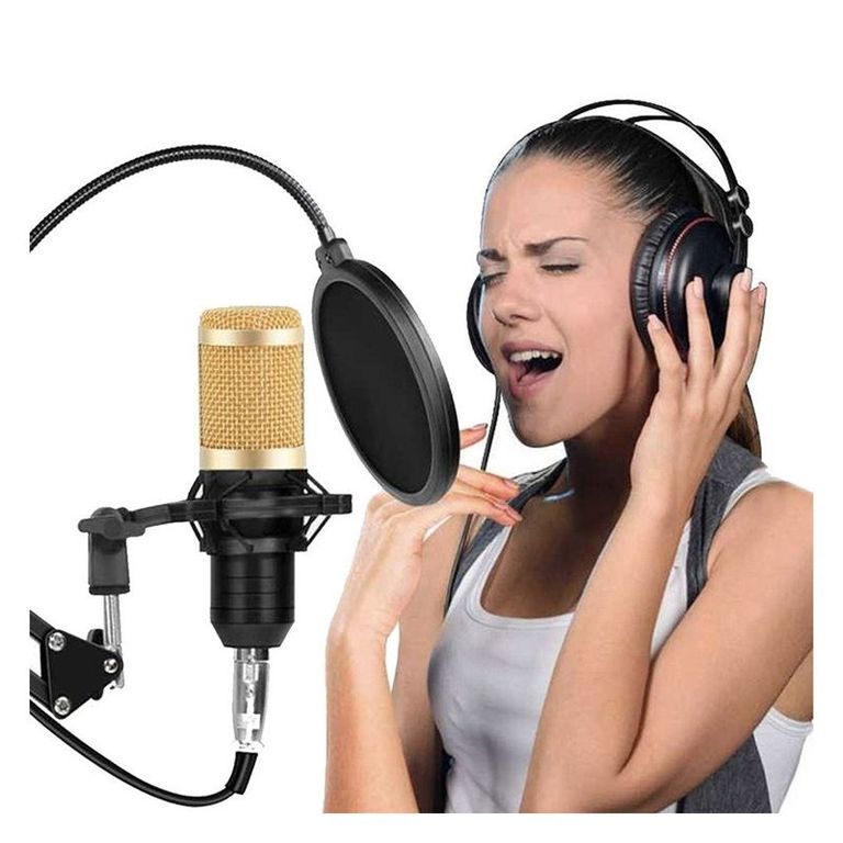 Microfono Condensador Profesional Antipop Para Streaming Podcast Live BM-800TZ Dorado