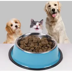 GENERICO - Plato Comedero Para Mascotas Dogs Happy