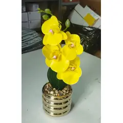 GENERICO - Orquídea Amarilla con Base Dorada