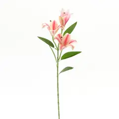 GENERICO - Vara Rosa Amarilla