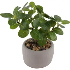 GENERICO - Bonsai Artificial Hoja Oval Plástico Verde 19cm