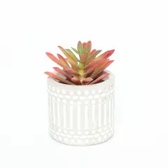 GENERICO - Suculenta Rosada 8x6cm