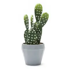 GENERICO - Cactus Con Maceta 24x9cm