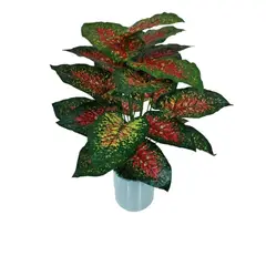 GENERICO - Planta Artificial Corazón de Jesús 70 cm