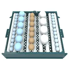 GENERICO - INCUBADORA AUTOMATICA DE 192 HUEVOS 220V - 12v