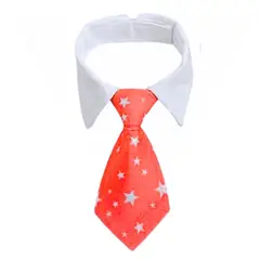 GENERICO - CORBATA CON CUELLO PARA MASCOTA CORAL ESTRELLAS