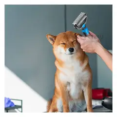 GENERICO - Cepillo Quita Nudos Facil Agarre para Mascota Color Celeste