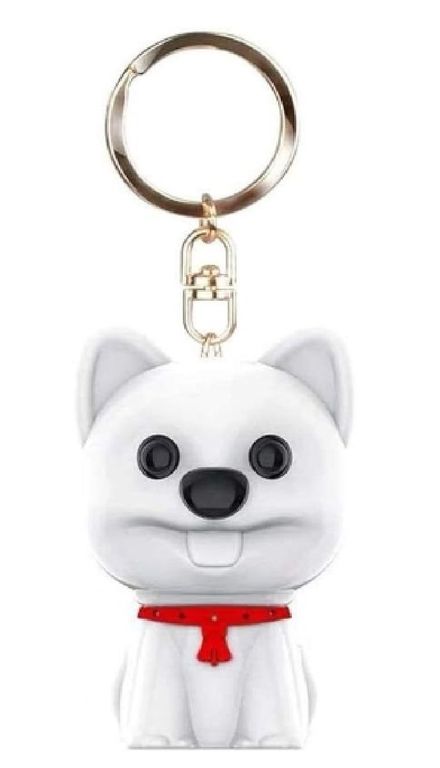 GRABADOR DE AUDIO ESPIA LLAVERO