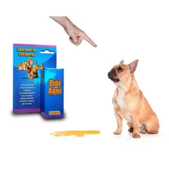 OEM - Pipi Aqui Educador Para Perros