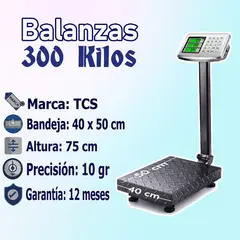 GENERICO - Balanza Industrial 300 Kg con Plataforma Teclado de Acero Inoxidable