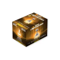 PANINI - Copa Libertadores 2024, 1 cajita