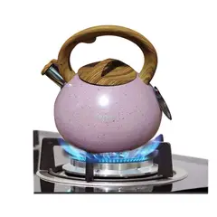 VALESKA - TETERA SILBADORA - ROCA VOLCANICA ROSADO