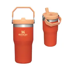 STANLEY - The IceFlow Flip Straw Tumbler 20 oz