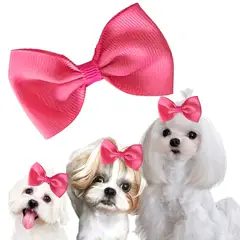 GENERICO - MOÑO PARA MASCOTAS FRESA- GRANDE