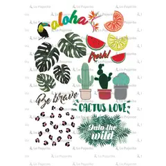 LA PAJARITA - Hoja Transfers ALOHA