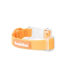 BUDDIES - Collar Para Perros Ajustable Naranja XS