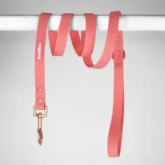 BUDDIES - Correa De Perro 152cm Rosado Repele Agua Y Suciedad
