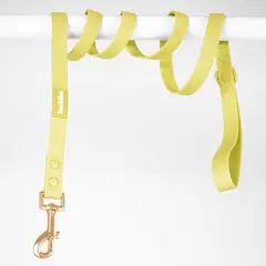 BUDDIES - Correa De Perro 152cm Verde Repele Agua Y Suciedad