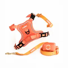 BUDDIES - Arnes Pechera y correa 152cm mascotas Naranja XS