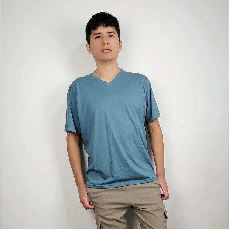 Polo Casual Basico Hombre Cuello V