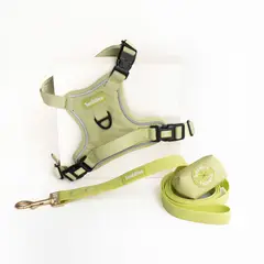 BUDDIES - Arnes Pechera y correa 152cm mascotas Verde S