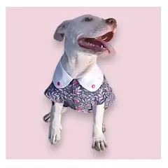 MD - Ropa Blusa para Mascotas Gatos y Perros Flores T-M4