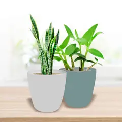 GENERICO - Maceteros en resina poliester Ancho 44cm-31cm Altura 42cm