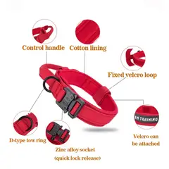 GENERICO - Collar ajustable + correa para perro rojo Talla M