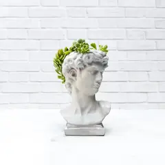 CONKRETE - Maceta de Cemento David + Planta Suculenta modelo aleatorio