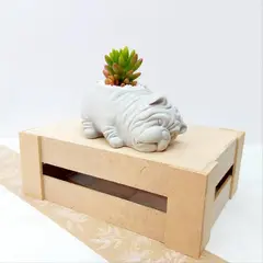 CONKRETE - Maceta de Cemento Perro Shar Pei + Planta Suculenta aleatoria