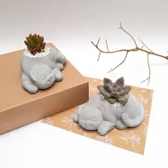 CONKRETE - Maceta de Cemento Gato + Planta Suculenta modelo aleatorio