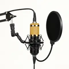 SEISA - Micrófono Condensador Usb con Brazo Soporte y Anti Pop Profesional