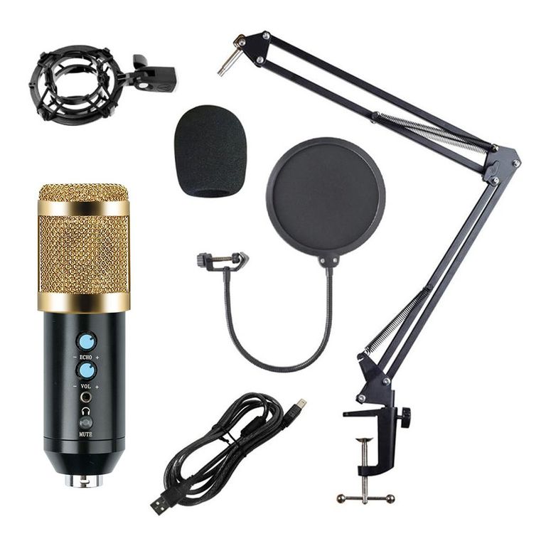Microfono Condensador profesional BM858TZ USB estudio de grabación PC