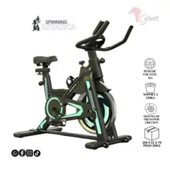 GENERICO - Spinning Verde Volante De 12 Kg Color Verde