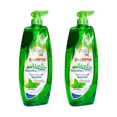 NEVADA NATURAL PRODUCTS - Shampoo Extracto De Menta Nevada 12Lt 2 Unidades
