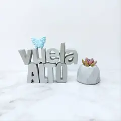 CONKRETE - Set de letras decorativas vuela ALTO + Planta Suculenta